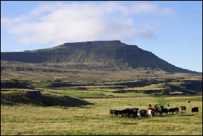 Peak3_Ingleborough.jpg